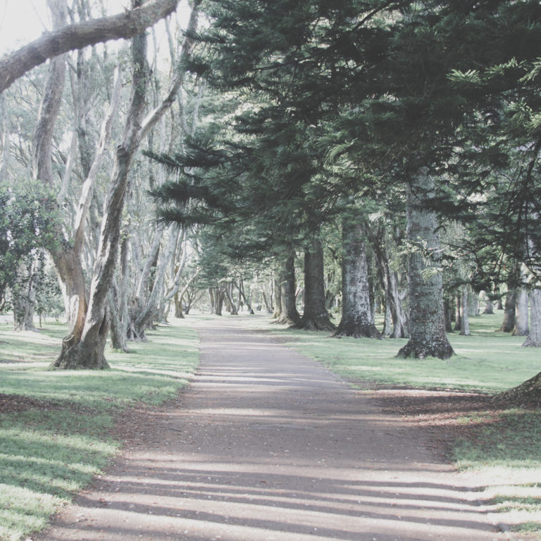 Cornwall Park - path