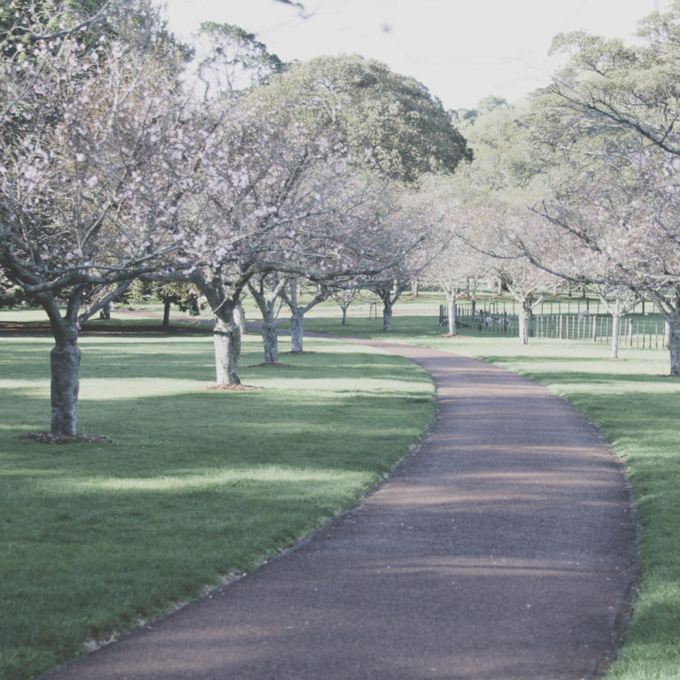 Cornwall Park - path