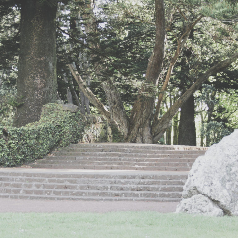 Cornwall Park - steps